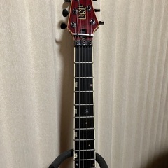 ESP Horizon Custom
