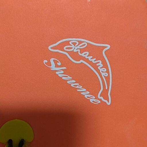 HYSTERIC GLAMOUR ボディボード 値下げしました HYSTERIC GLAMOUR