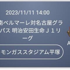 ９月１０日名古屋グランパスVS徳島A指定席中央ペアチケット