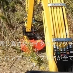 広い場所の草刈、セイダカアワダチソウ　などの頑固な草刈お任せ‼️の画像