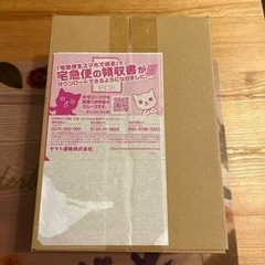 ポケセン ダンボール未開封 黒炎の支配者 古代の咆哮 シュリンク未開封151