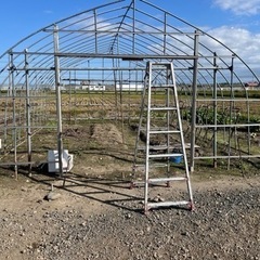 ビニールハウスの骨組み 4棟分 ビニールハウスの骨組み 4棟分 ビニールハウスの骨組み 4棟分 ビニール