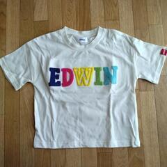 【美品】【100cm】Tシャツ　EDWIN