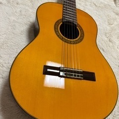 Sepia Crue  クラシックギター　C-250N