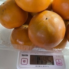 柿1.7kg