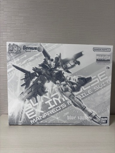 MG 1/100 ガンダムビルドダイバーズ ジニアスヘッドライン ガンダムエクスインパルス