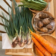 ねぎ、人参、インゲン、里芋！いろいろ不揃い野菜🥕🥔🫛4点セットい...