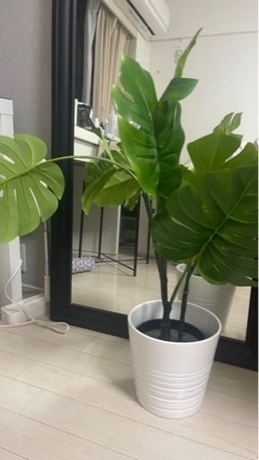 イケア人工観葉植物, 室内/屋外用