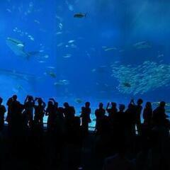 20代限定❣恋活イベ💗水族館🐡で楽しい時間を❣
