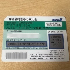 ANA株主優待券 1枚 11月末まで