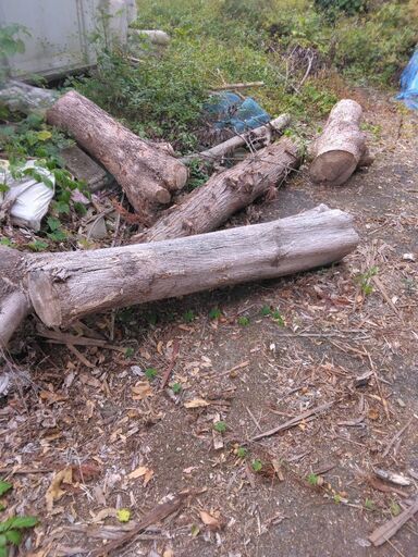 元ﾋﾟｱﾉ（画像は後日掲載または、お問合せにご返信)