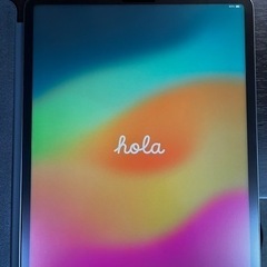 iPad Pro 12.9第5世代 Apple Pencil純正ケース付き