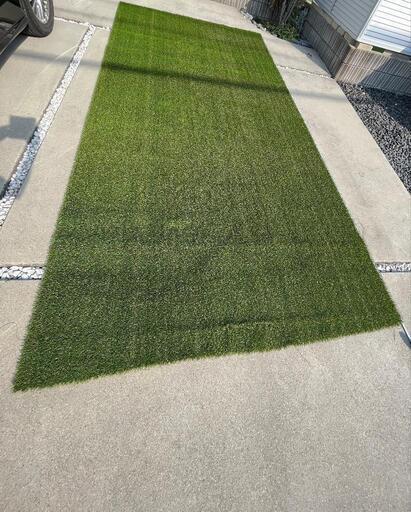人工芝　メモリーターフ　28㍉　2m×約4m