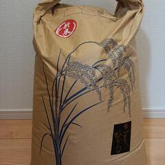 米 玄米 コシヒカリ 千葉県産 令和5年産 新米 玄米30kg