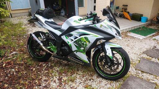 EX250L  Ninja　カスタム