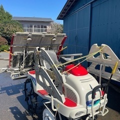 絵画油彩画少女後藤敬ニ「セプテンバー」