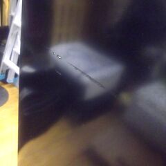 冷蔵庫 146リットル 2016年製 三菱 MR-P15Z-B1 黒 100Lクラス 2ドア MITSUBISHI ブラック 2ドア冷蔵庫 家電 キッチン家電 札幌市 厚別区