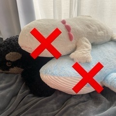 シャチ､ウーパールーパー､クジラのぬいぐるみ