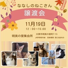 11月19日　ななしのねこさん譲渡会