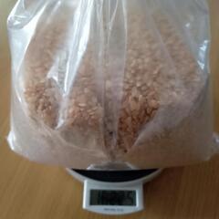 玄米　約1.6キロ分