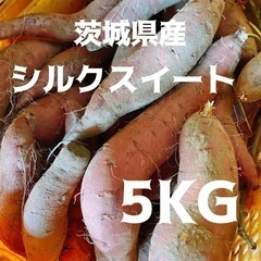 シルクスイート 5kg 1500円 熟成済み 甘い