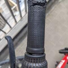 子供用自転車 トレックTREK 赤 キッズ20インチMTB PRECALIBER20（プリキャリバー20）