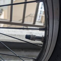 子供用自転車 トレックTREK 赤 キッズ20インチMTB PRECALIBER20（プリキャリバー20）