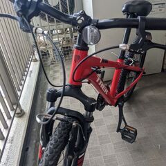 子供用自転車 トレックTREK 赤 キッズ20インチMTB PRECALIBER20（プリキャリバー20）