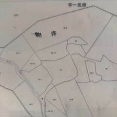 資産向き山林(愛知県南知多町)