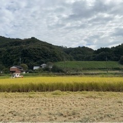 ✨令和5年、新米✨1000円引き！