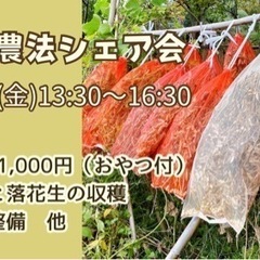 【伊勢原・平塚】自然農法　大豆と落花生の収穫体験