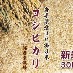 【終了致しました】令和5年度 新米 岩手県産 コシヒカリ 玄米 ...