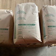 (受付終了)新米　10kg コシヒカリ　玄米　令和5年