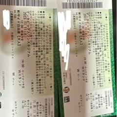 アルビレックス新潟試合チケット