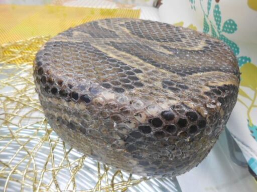 A7現品販売 15.980円  沖縄三線専用　蛇皮強化(二重張)型チーガ　　マイ三線へ挑戦 A7現品販売 15.980円 沖縄三線専用 蛇皮強化(二重張)型チーガ