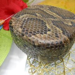 A7現品販売 15.980円 沖縄三線専用 蛇皮強化(二重張)型チーガ