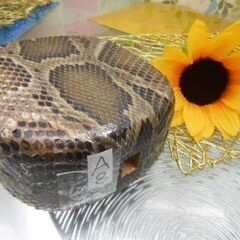 A8現品販売14.980円 蛇皮強化(二重張)型チーガ(三線胴) 貴方