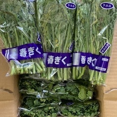 春菊　群馬産　20袋入り　一箱¥500