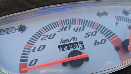 こ ホンダ ライブディオZX AF35 整備品 原付50cc