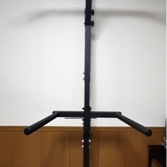 teddy works  KENSUI  ディップスバーセット