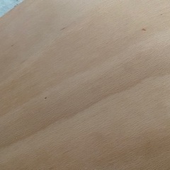 ウォーベル正規品 バランスボード