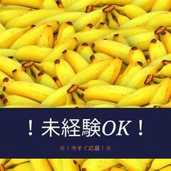 知識や経験は一切不要◎普通免許ドライバー！日勤×週休2日☆日払い...