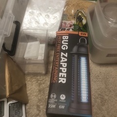 カブクワ飼育　引退品　　イロイロ