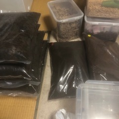 カブクワ飼育　引退品　　イロイロ