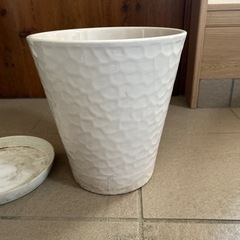 陶器の鉢