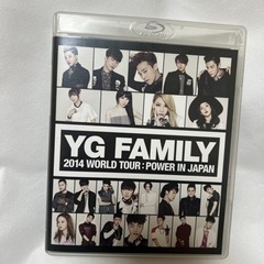 YG FAMILY WORLD TOUR 2014-POWER-...