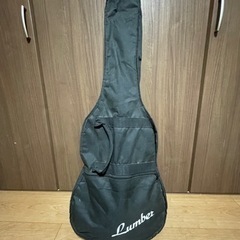 Lumber LFG20RDS ソフトケース付き アコースティックギター