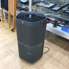 ★ジモティ割あり★ エレクトロラックス 空気清浄機   20年製 動作確認／クリーニング済み SJ3960