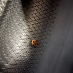 DUNLOP WINTER MAXX SJ8 225/65R17 17インチ スタッドレス 4本 20～21年製 バリ溝 エクストレイル ハリアー等　(VTI815) クレジットカード QRコード決済可能