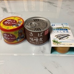 サバ★いわし★缶詰セット